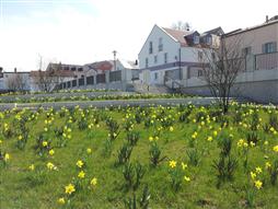 Fertige Anlage, im Vordergrund terrassenförmige Wiese und Blumen.