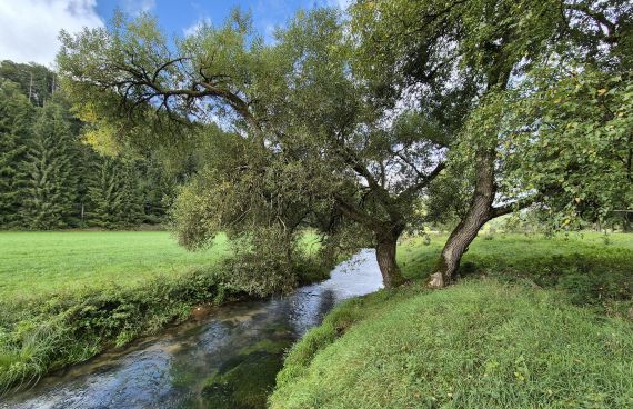 Breitenbrunner Laber Breitenbrunner Laber