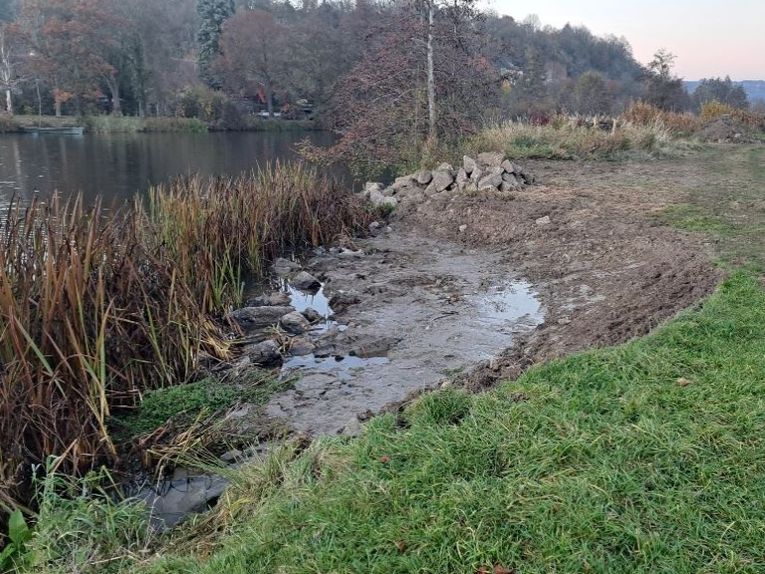 neue Flachwasserzone für Pflanzen und Tiere