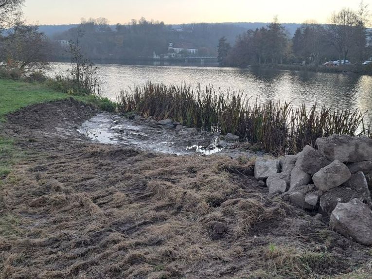 neue Flachwasserzone für Pflanzen und Tiere, Wurzelstöcke für Struktur im Gewässer