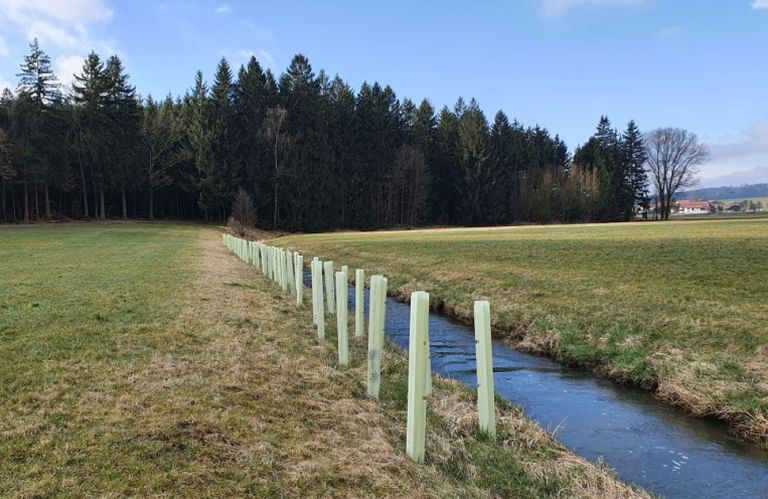 Chamb nach Gehölzpflanzung Die Chamb mit Gehölzpflanzungen am linken Ufer