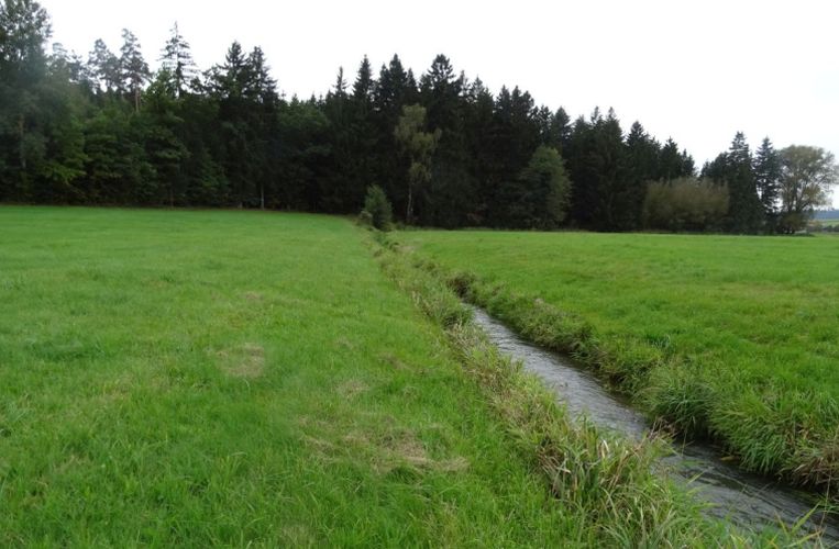 Chamb ohne Gehölzpflanzung Die Chamb ohne Gehölzpflanzung