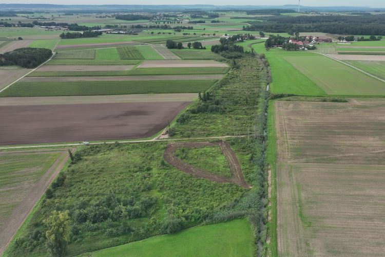 Vor Beginn der Maßnahme Blick auf die Schwarzach bei Möning von oben, das Gelände vor Beginn der Maßnahme